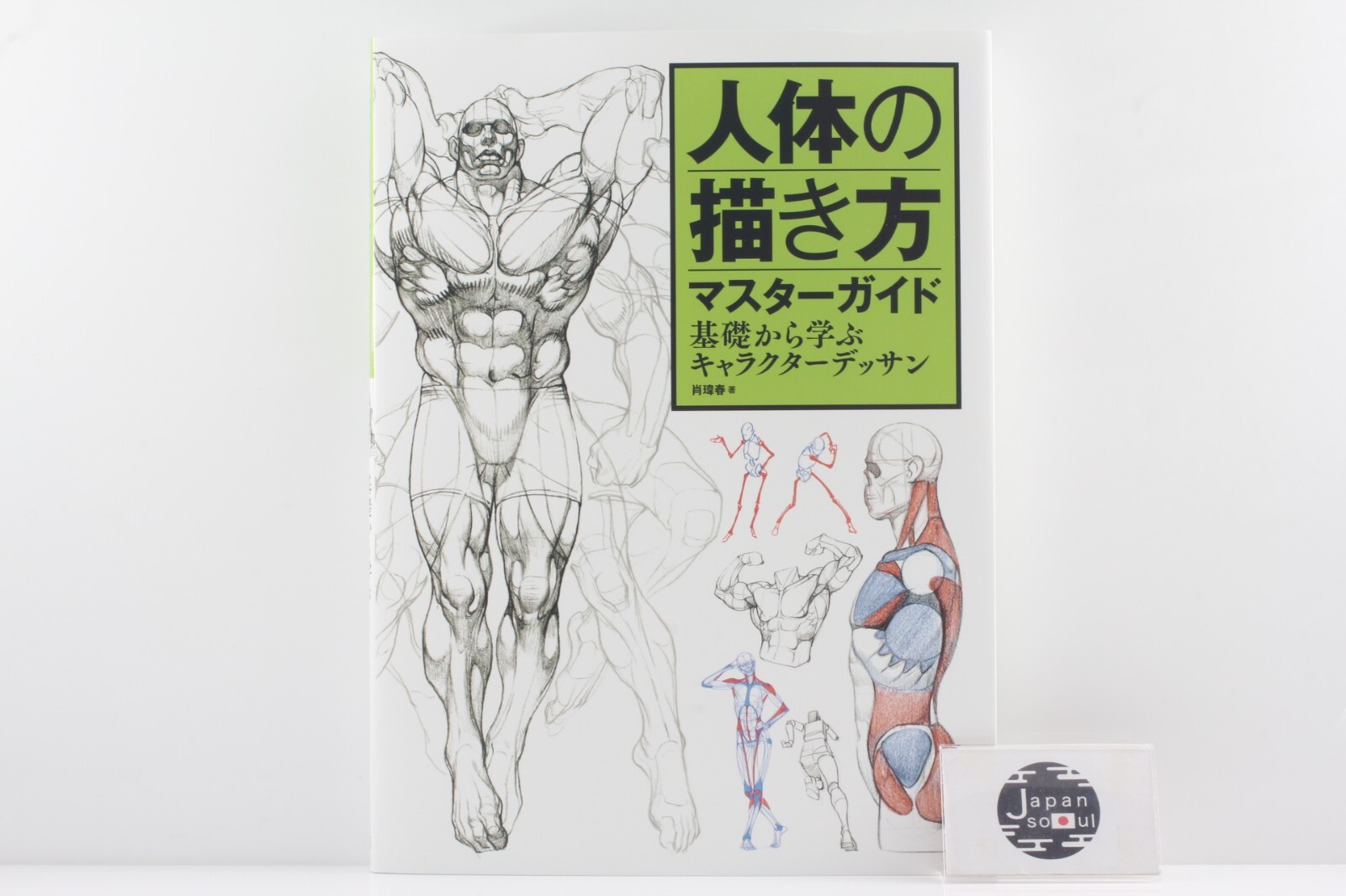 Master Guide to Drawing the Human Body Character Drawing From The Basics