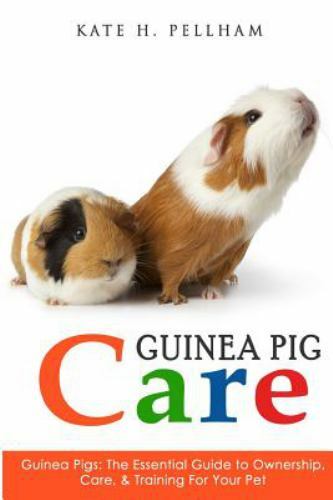 Guinea Pigs: The Essential Guide To Ownership, Care, & Training For Your – GOOD