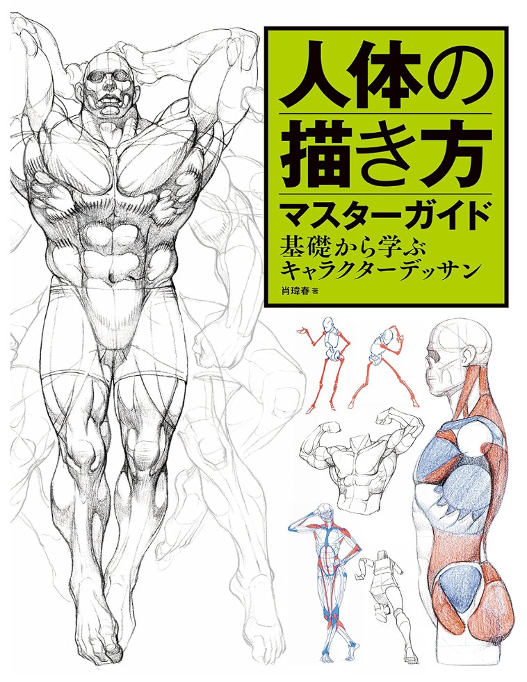 Master Guide to Drawing the Human Body – Character Drawing from the Basics #1434