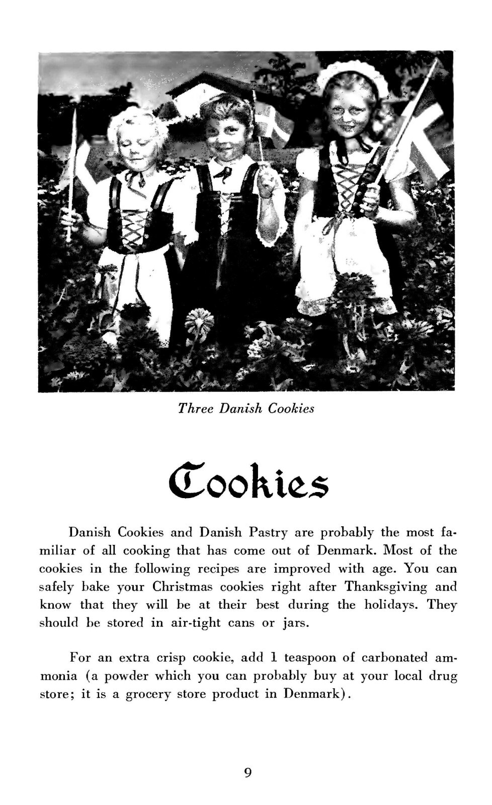 1900 Danish Cook Book 62 Pages
