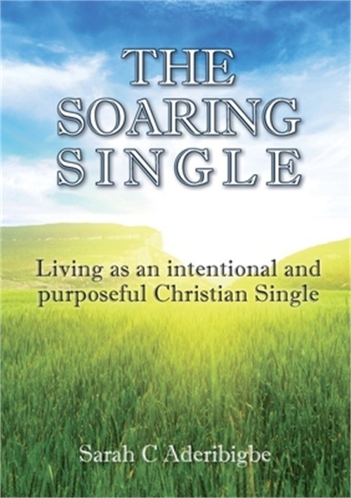 The Soaring Single (Paperback or Softback)