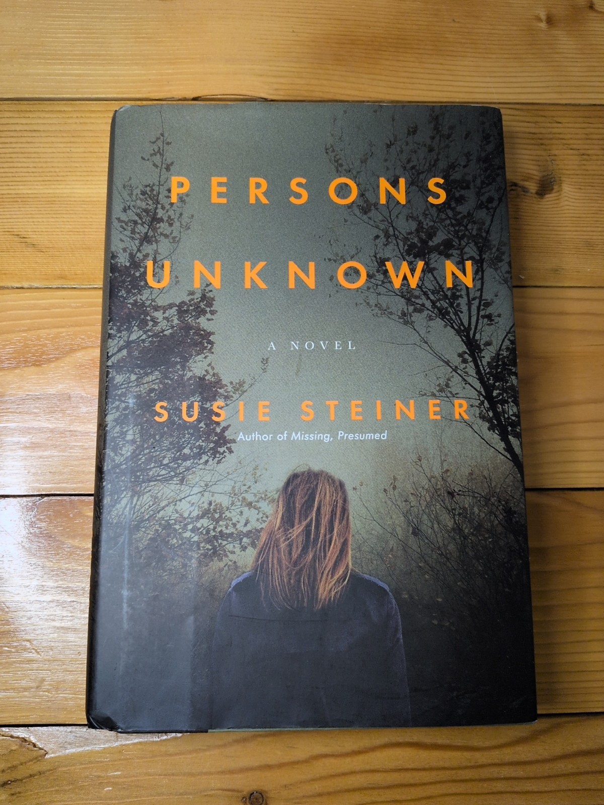 Persons Unknown by Susie Steiner (2017, Hardcover) First Edition First Printing