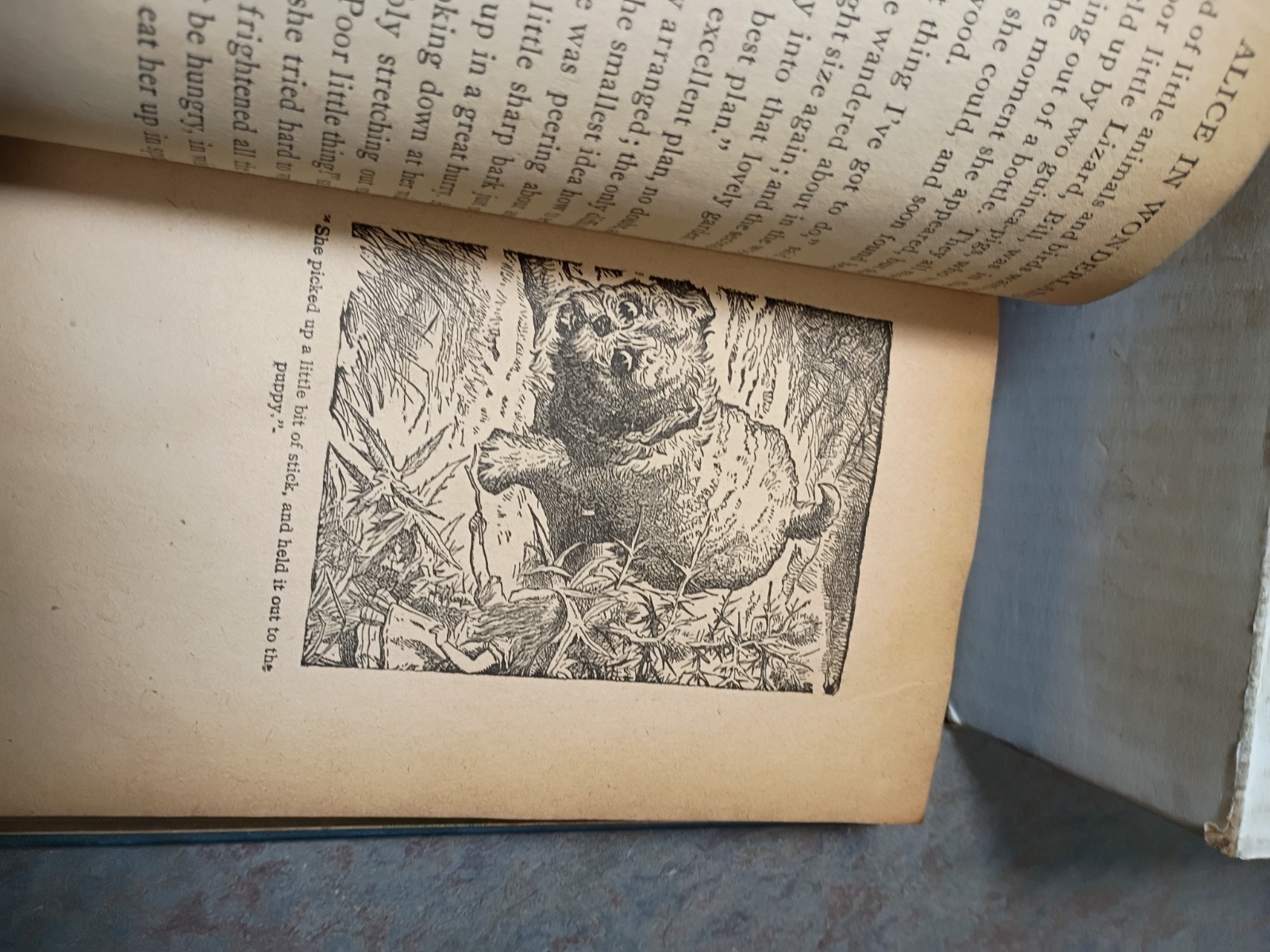 Alice in wonderland early hard cover book Lewis Carroll 297 pages