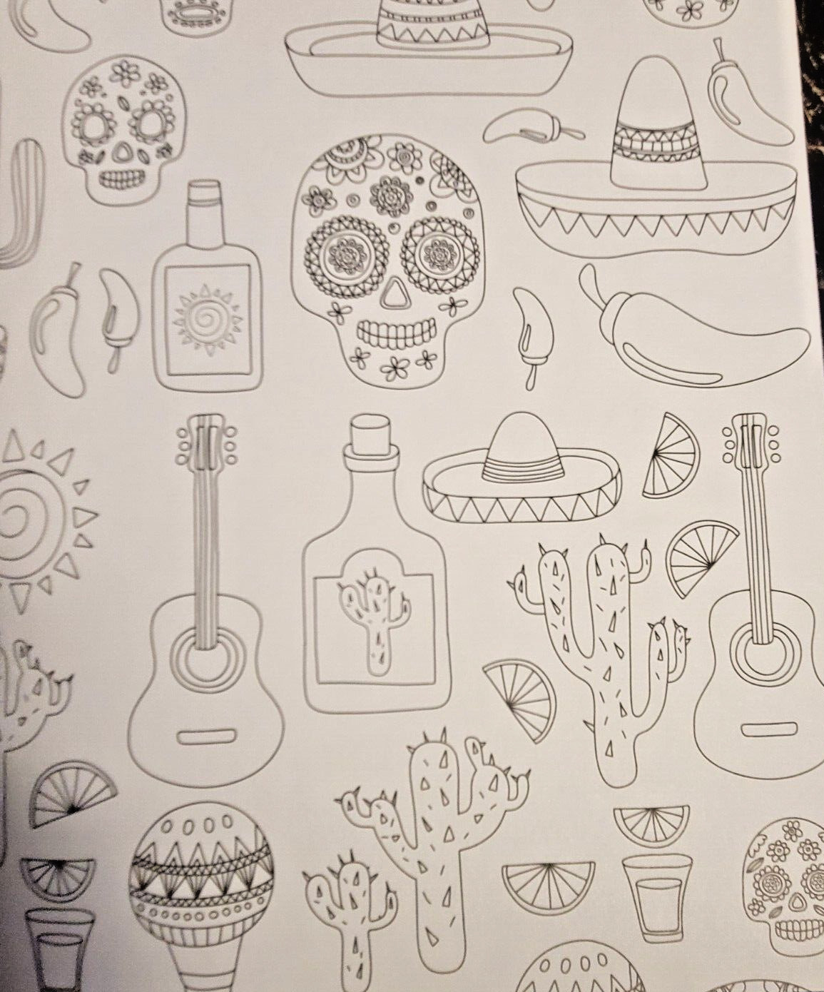 DAY OF THE DEAD Vol 5 Adult Coloring Book With 47 Prints Ready To Frame