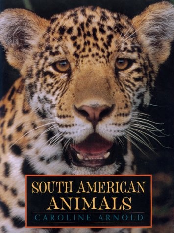 South American Animals