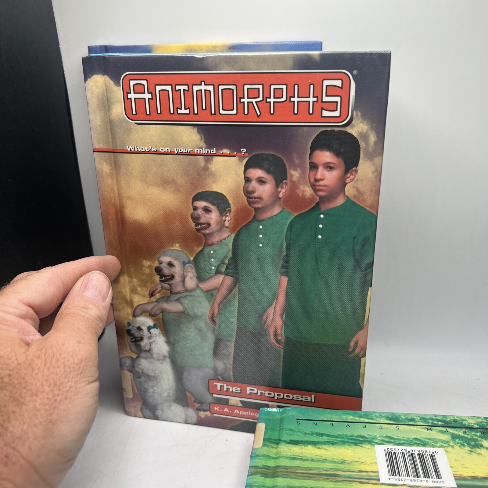 Animorphs Ser.: The Separation by K. A. Applegate 8 Books You Are Buying Choice