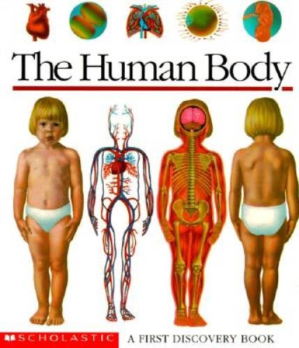The Human Body: A First Discovery Book – Spiral-bound By Scholastic Books – GOOD