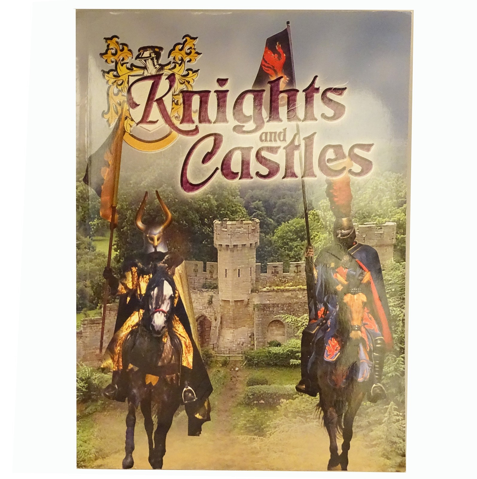 Knights and Castles – paperback Fiona MacDonald