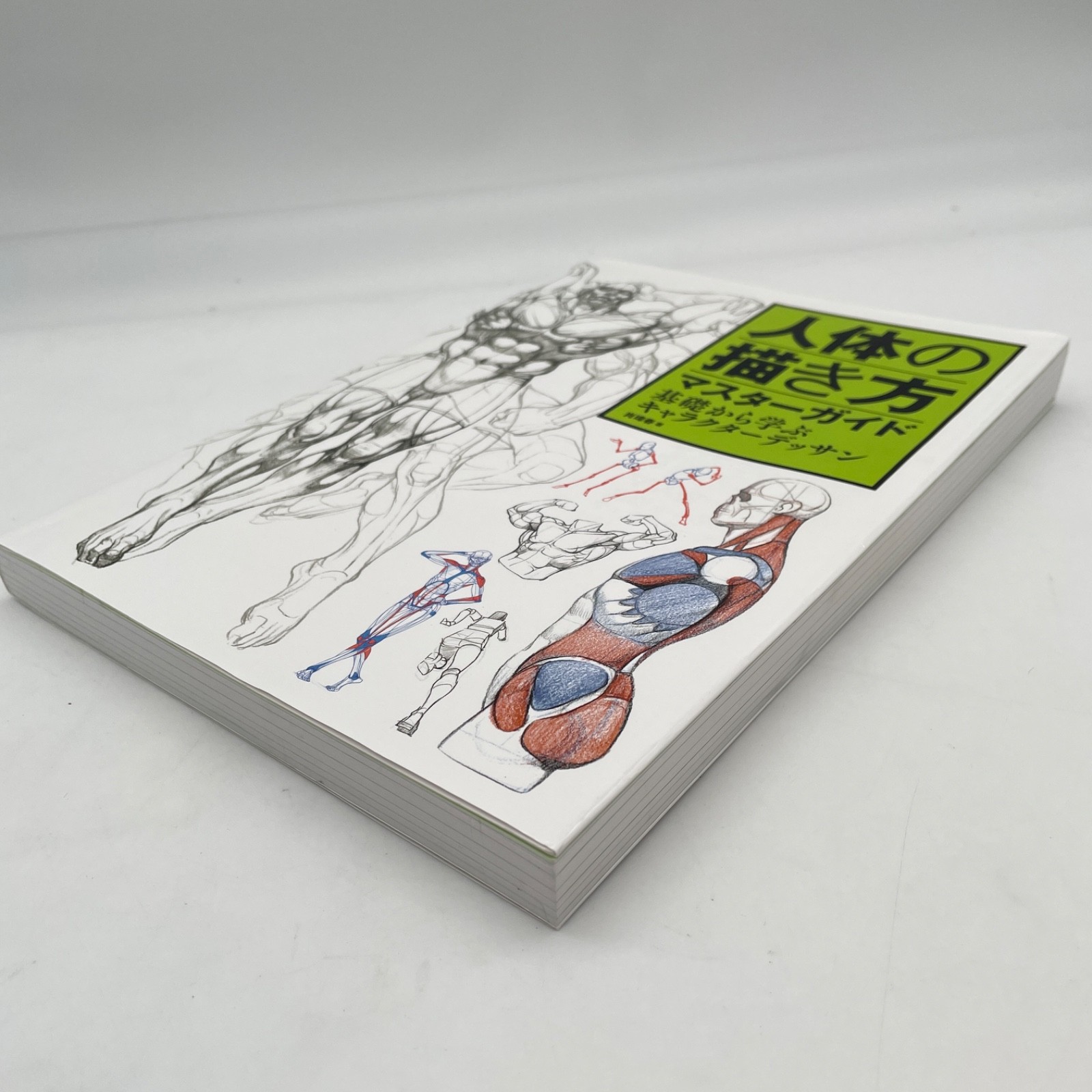 Master Guide to Drawing the Human Body Character Drawing from the Basics Book