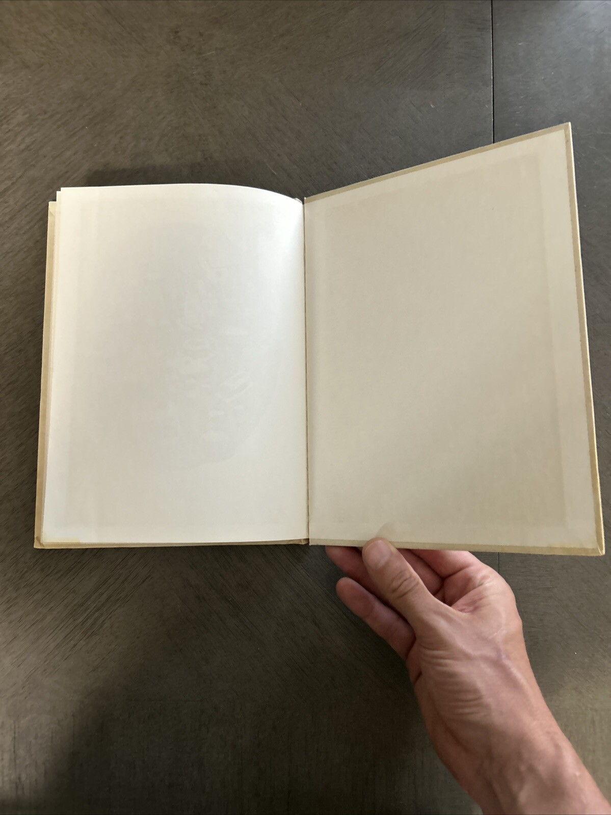 Rabbit Finds a Way by Judy Delton (1975, Hardcover)
