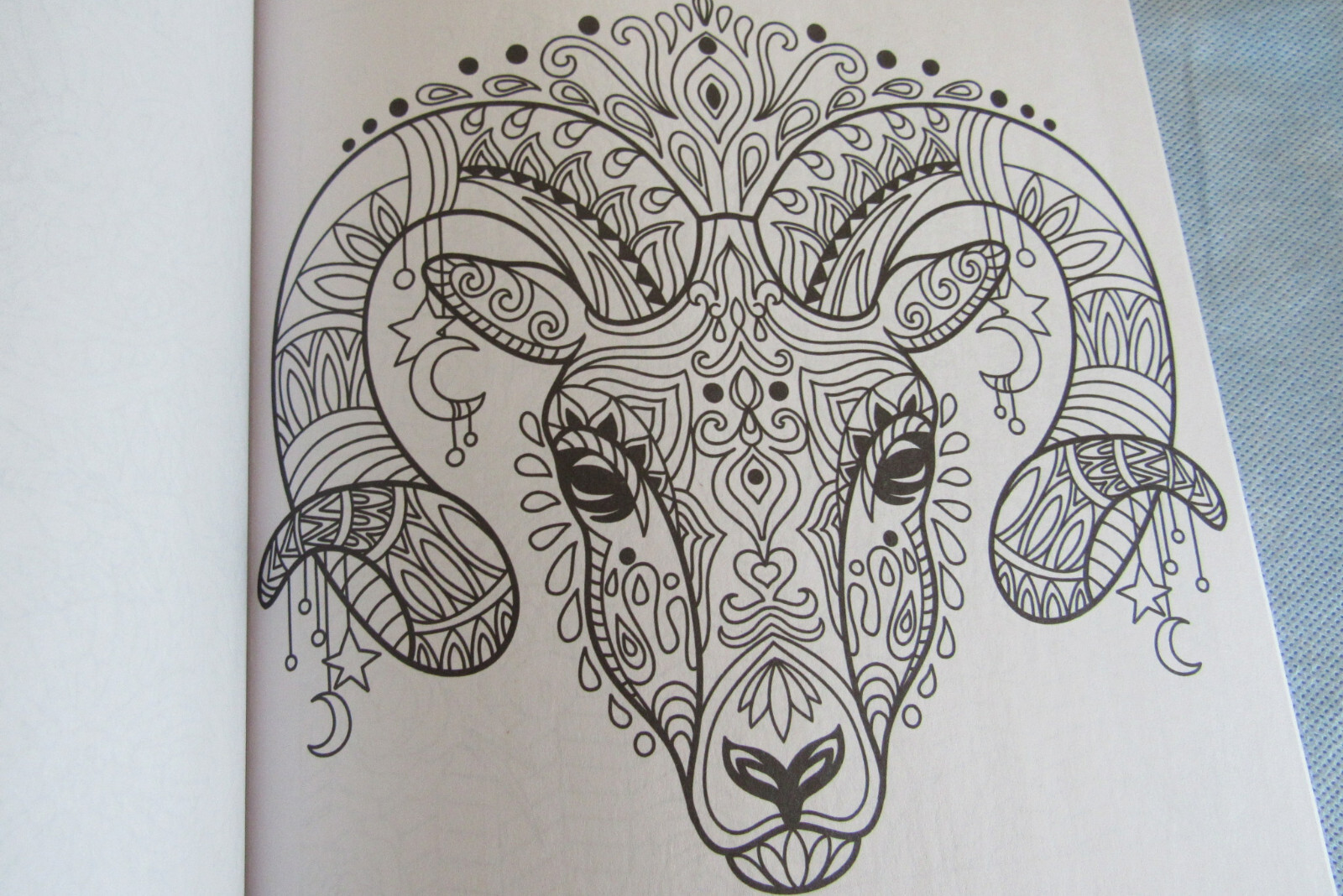 Kaleidoscope Coloring Book Majestic Creatures 47 Prints Ready To Frame Vol 25