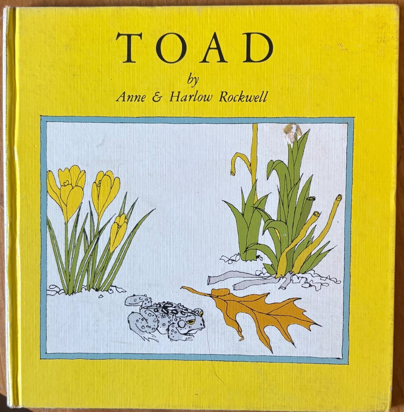 Toad by Anne Rockwell illustrated by Harlow Rockwell – Hardcover First Edition