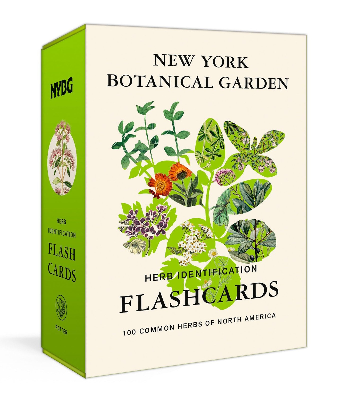 New York Botanical Garden Herb Identification Flashcards: 100 Common Herbs of No