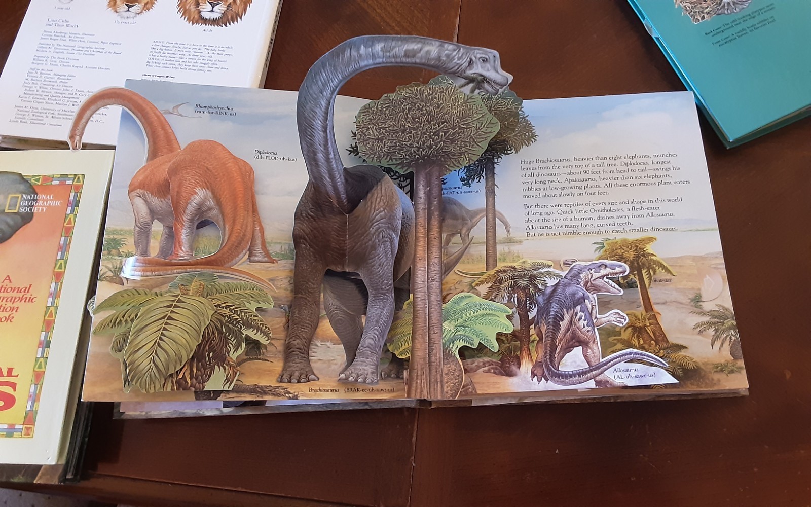 Dinosaurs National Geographic Action Book Lot 5 African Lion Australia Monkeys