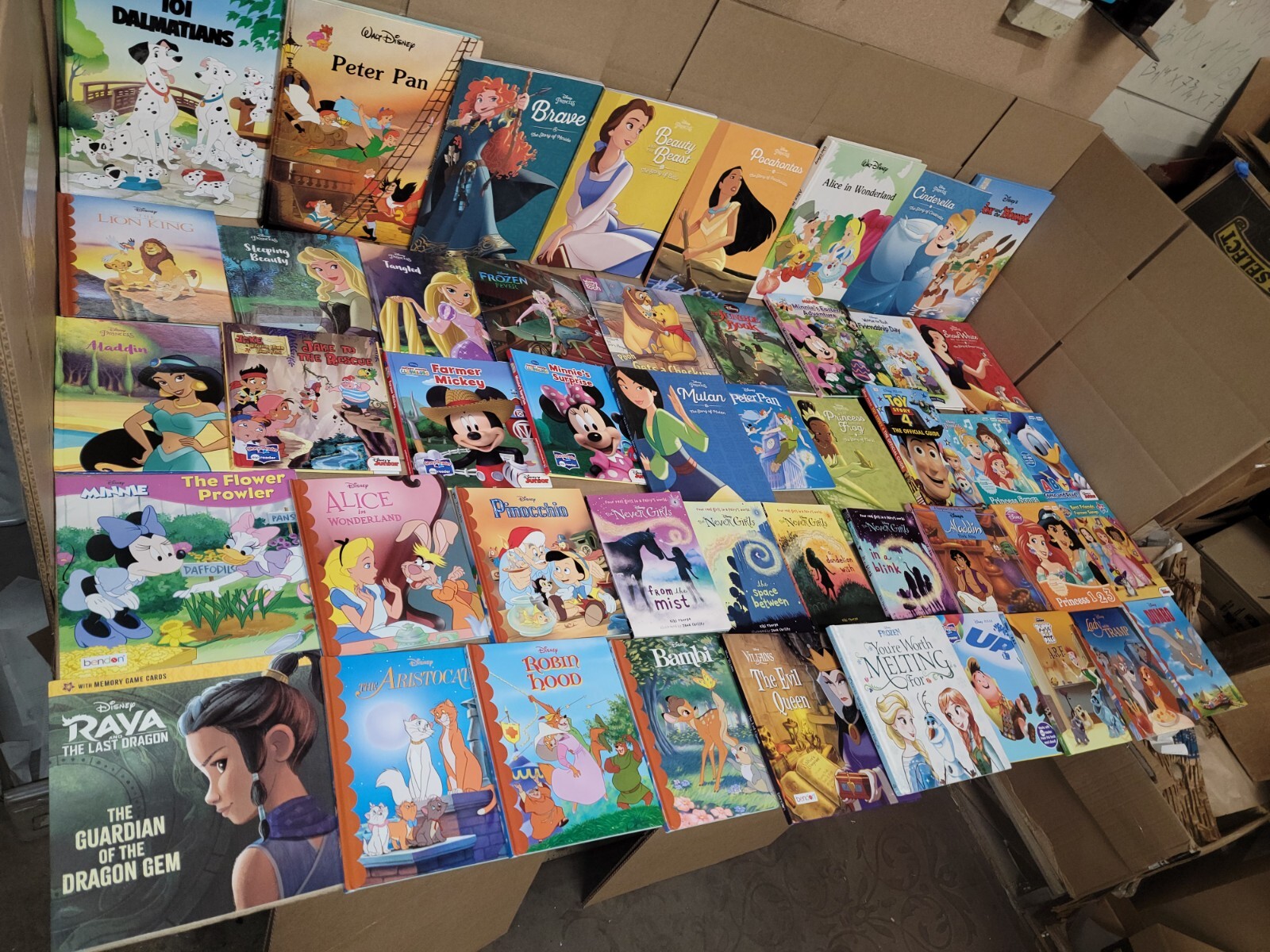Lot of 15 Walt Disney Popular Cartoon Children Picture Kids Books – MIX UNSORTED
