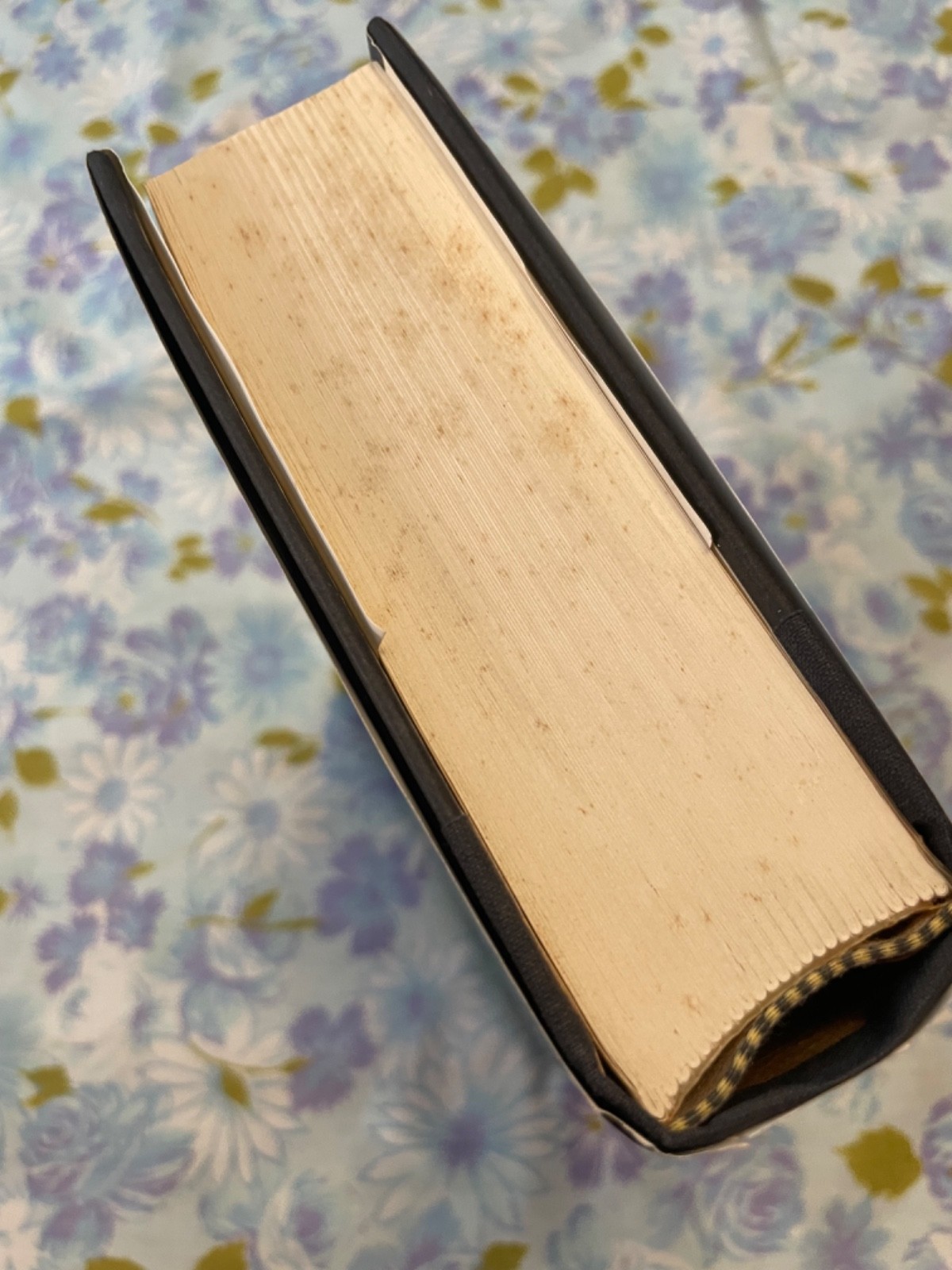 BOOK The Collected works of W B YEATS The Poems Volume 1 Revised Hardcover
