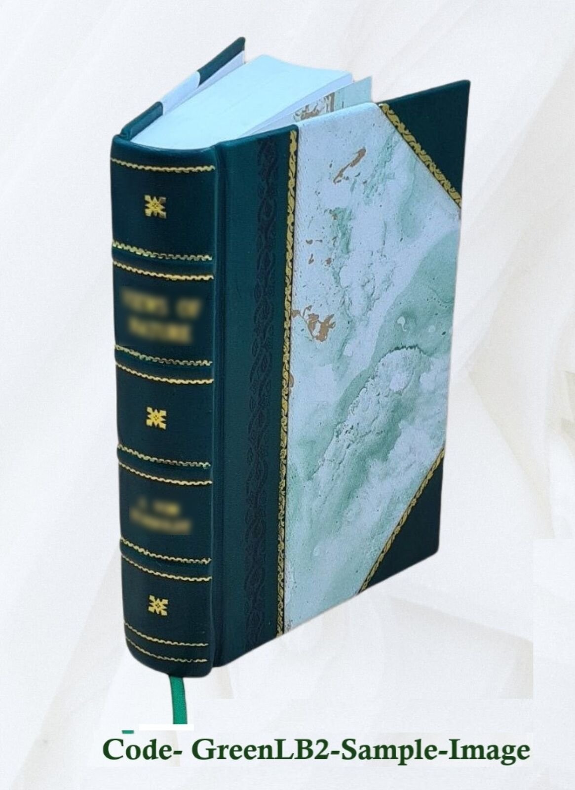 The Life of The White Ant 1927 [Leather Bound]