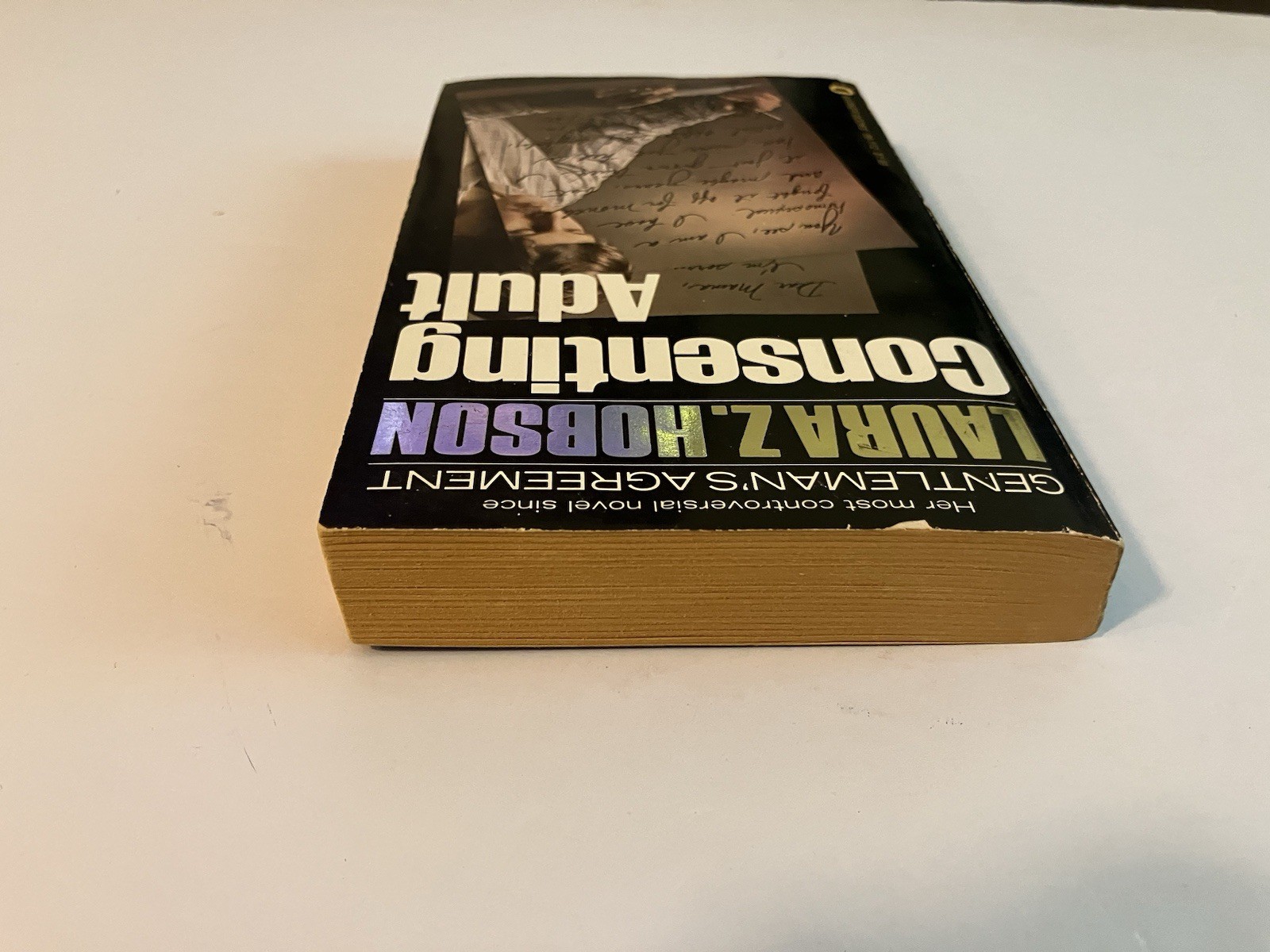 CONSENTING ADULT LAURA Z. HOBSON PB WARNER BOOKS 1976 LGBTQ PSYCHOLOGY FAMILY