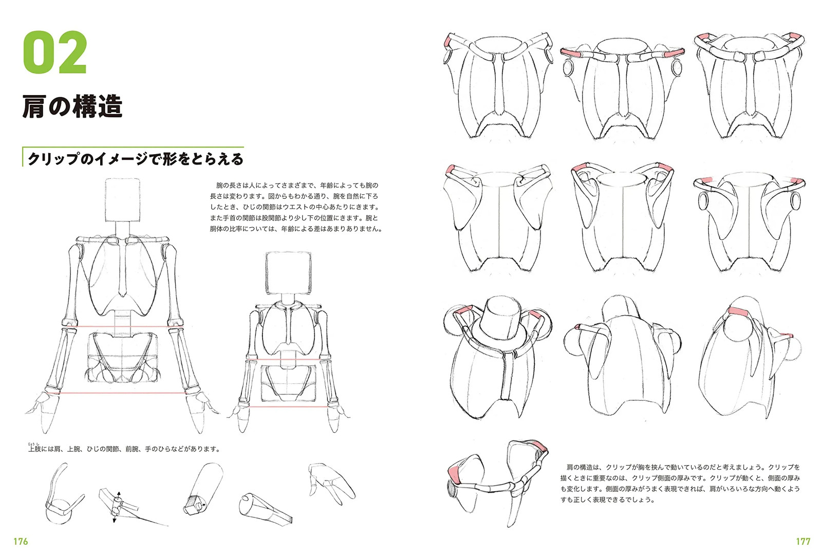 Japan NEW Master Guide to Drawing Human Figures Character Sketching Basics Manga