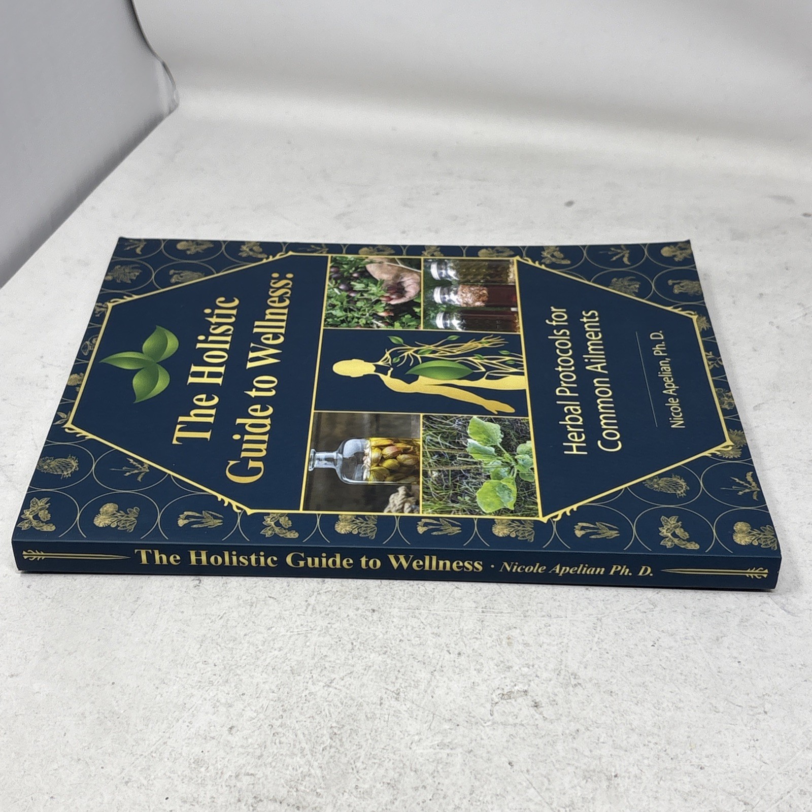 Holistic Guide to Wellness : Herbal Protocols for Common Ailments by Nicole…