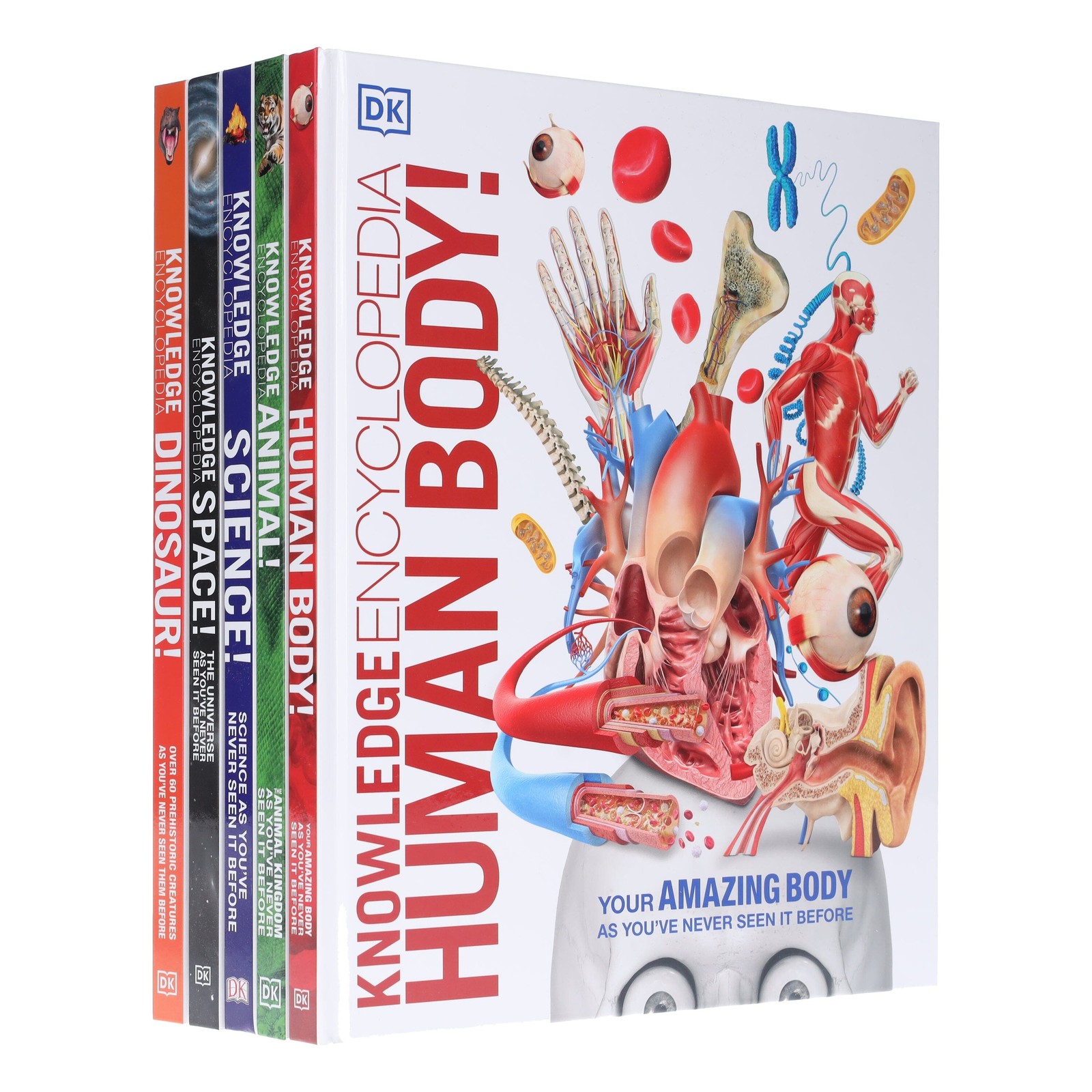 Knowledge Encyclopedias By DK: 5 Books Set – Ages 9-12 – Hardback