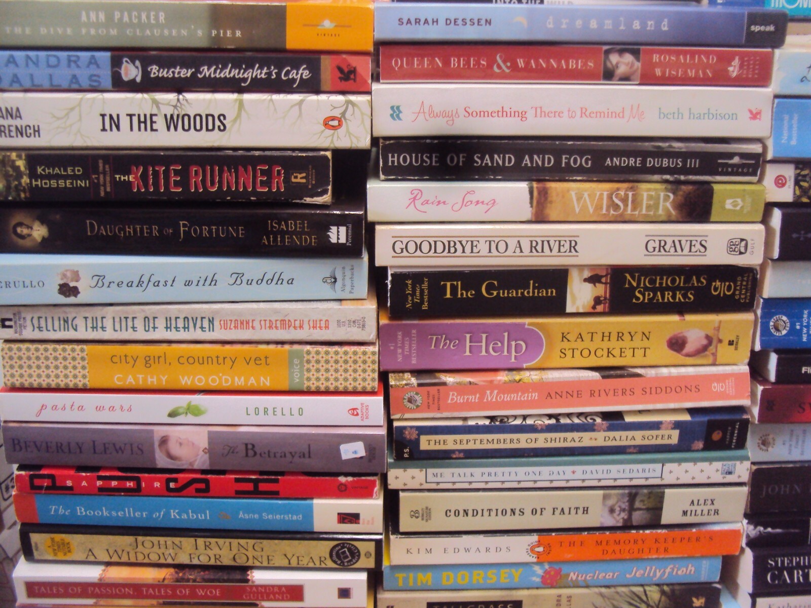 RANDOM MIX Lot 10 Large Trade Size PB Fiction Literature All category For Women