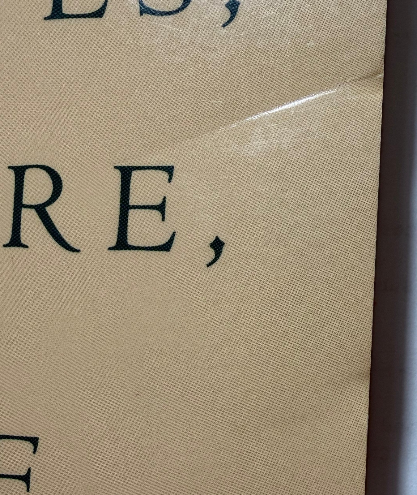 Socrates, Pleasure, and Value, George Rudebusch, Paperback, VG, Classics Book