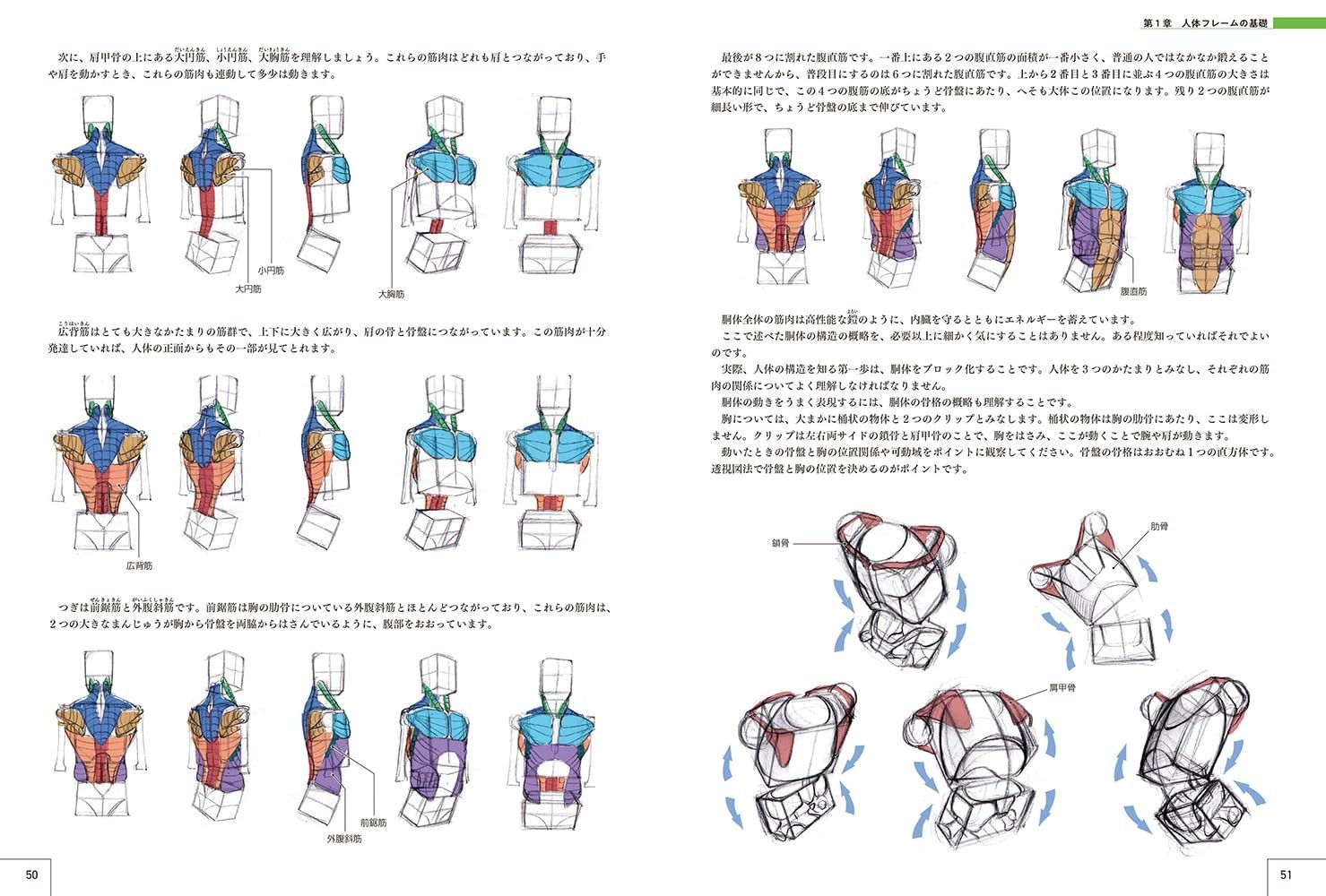 How to Draw Characters Guidebook : Human Body Drawing to Main Character Design