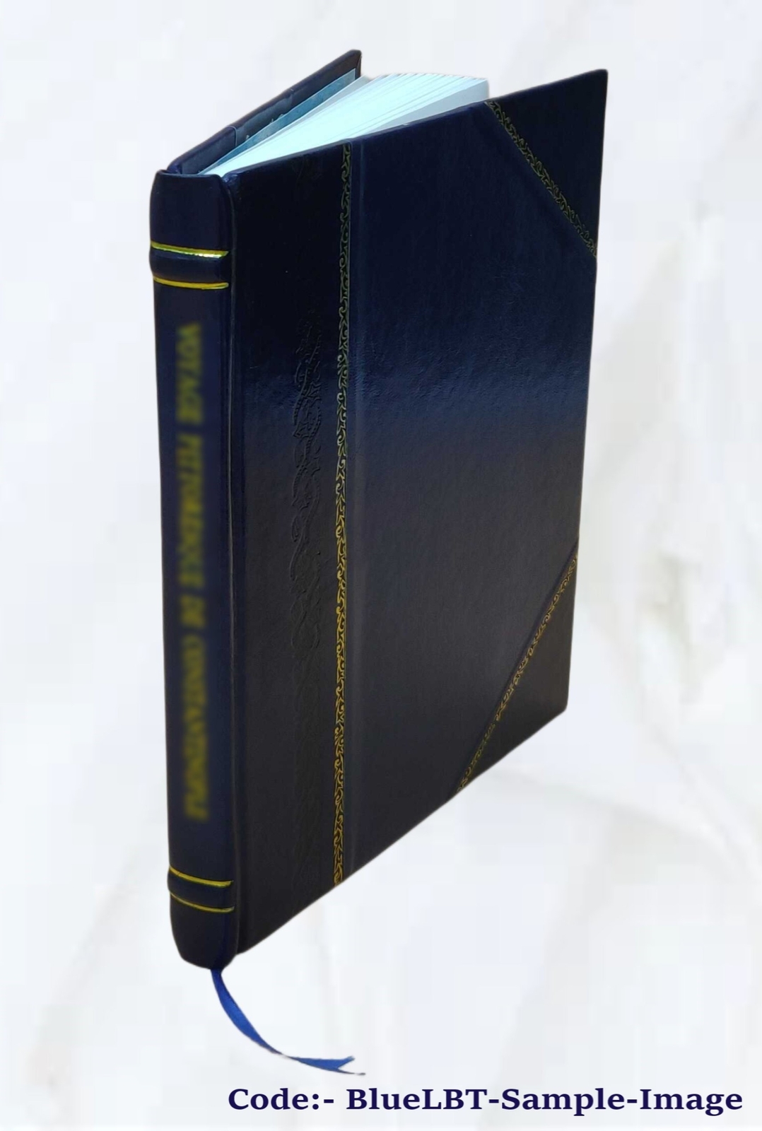 A Treatise On Languages Their Origin, Structure And Connection A [Leather Bound]