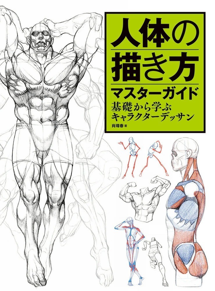 Human Anatomy Drawing Master Guide: Character Design Basics, Large Book