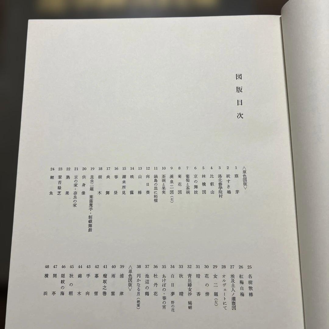 Mishō Hayami Art Collection (List Price: 9,800 Yen, A3 Size)