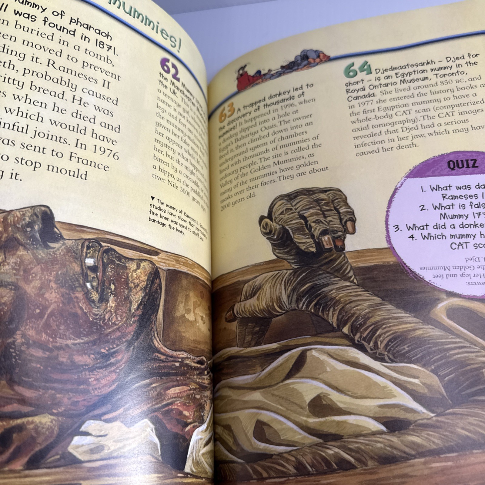 100 Facts Large Picture Book Lot 6 Miles Kelly Ages 7-11 Grades 1-5 Homeschool