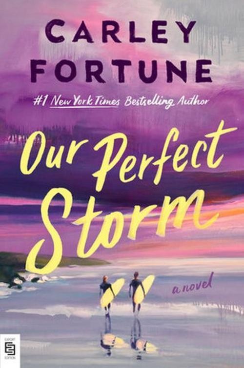 Carley Fortune Our Perfect Storm
