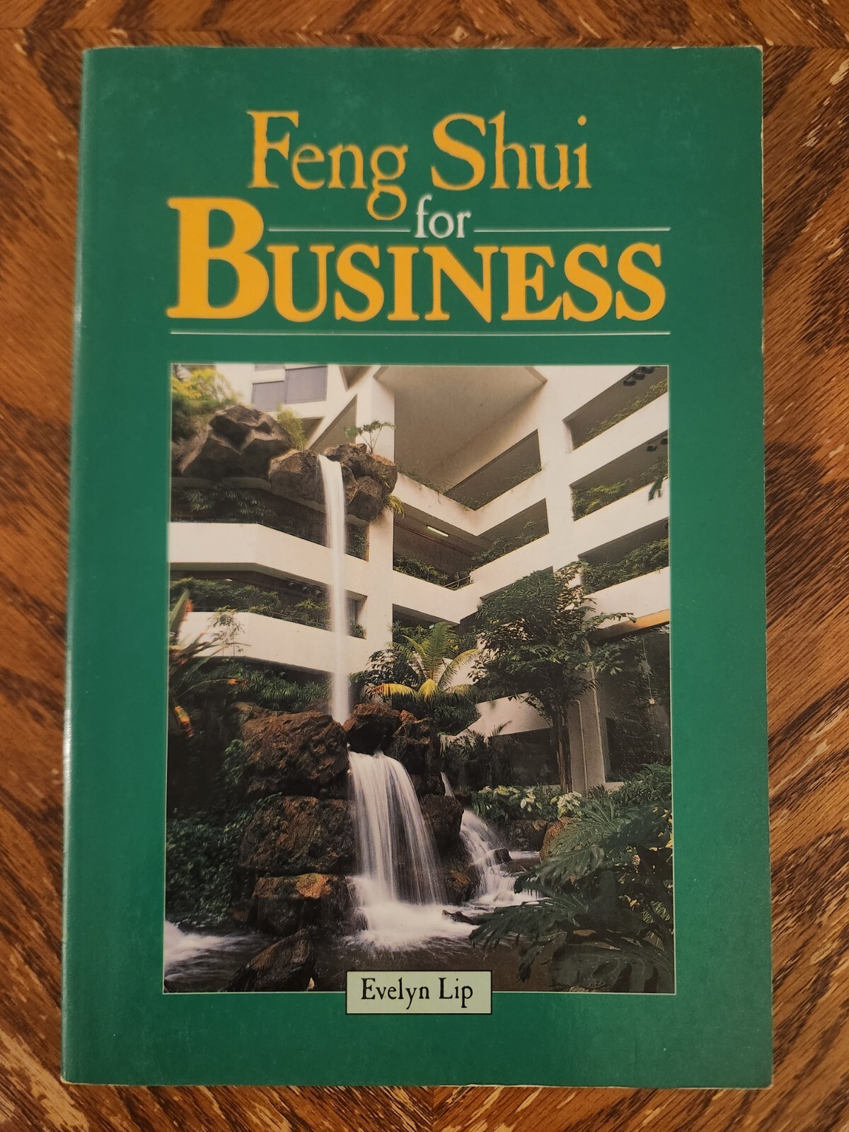 Feng Shui for Business by Evelyn Lip 1990 Illustrated Paperback