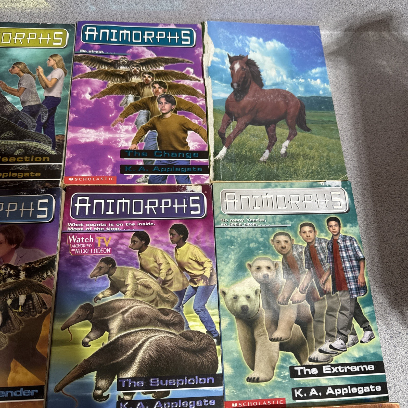 Animorphs Series K.A. Applegate Paperback Lot 17 Books VTG 90s Metamorphosis