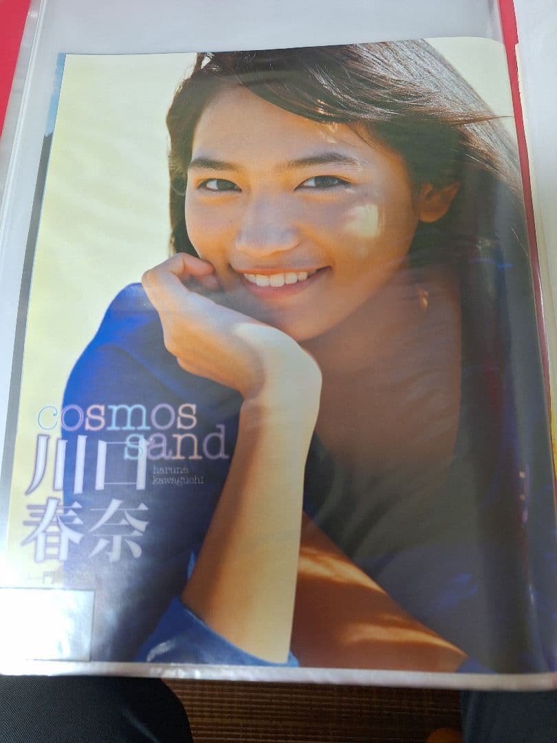 Haruna Kawaguchi Cutouts 76 Pages from 20 Magazines File Collectible