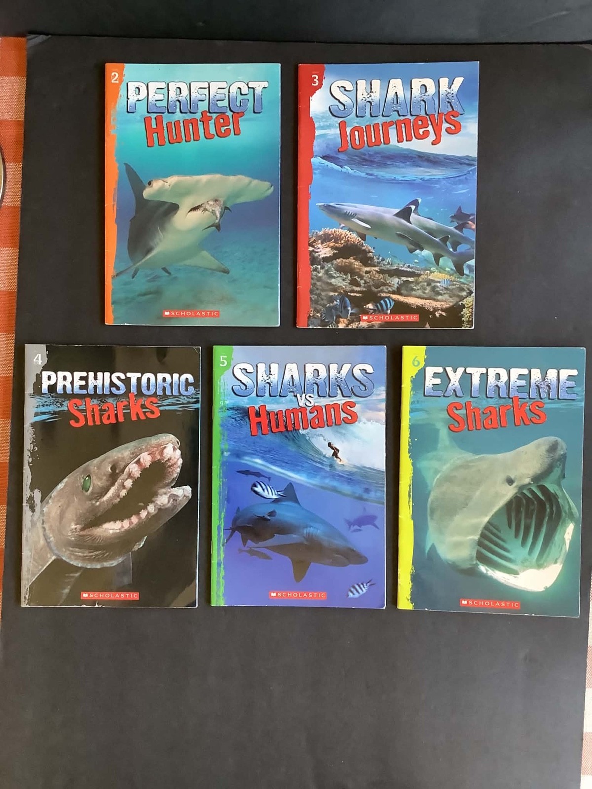 Set of 5 PERFECT HUNTER, SHARK JOURNEYS Books 2 through 6 – For those littles!