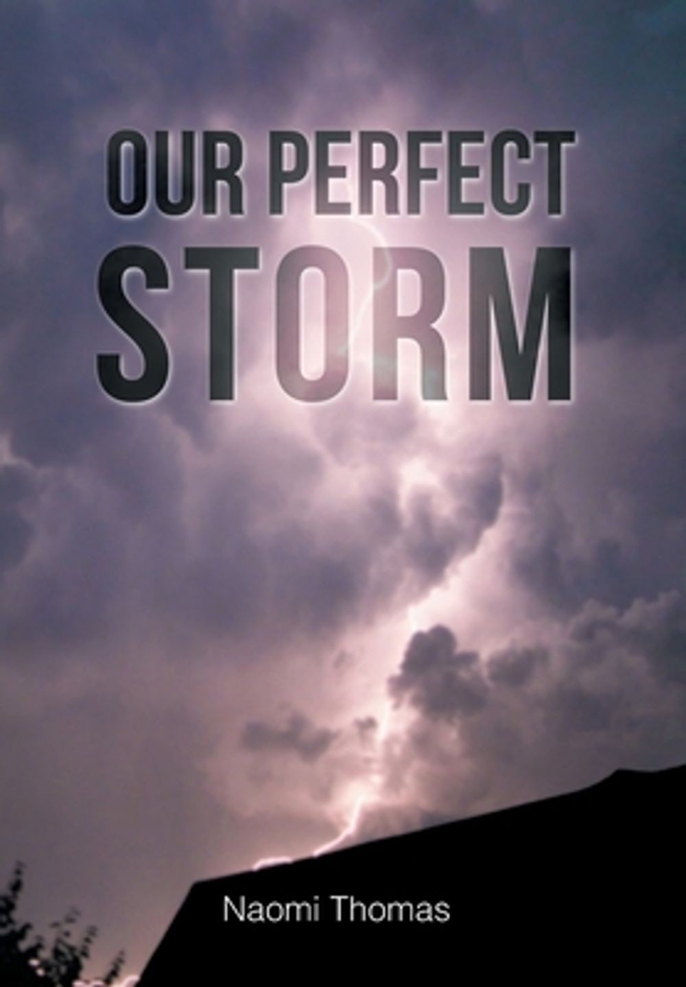 Our Perfect Storm by Naomi Thomas (English) Hardcover Book