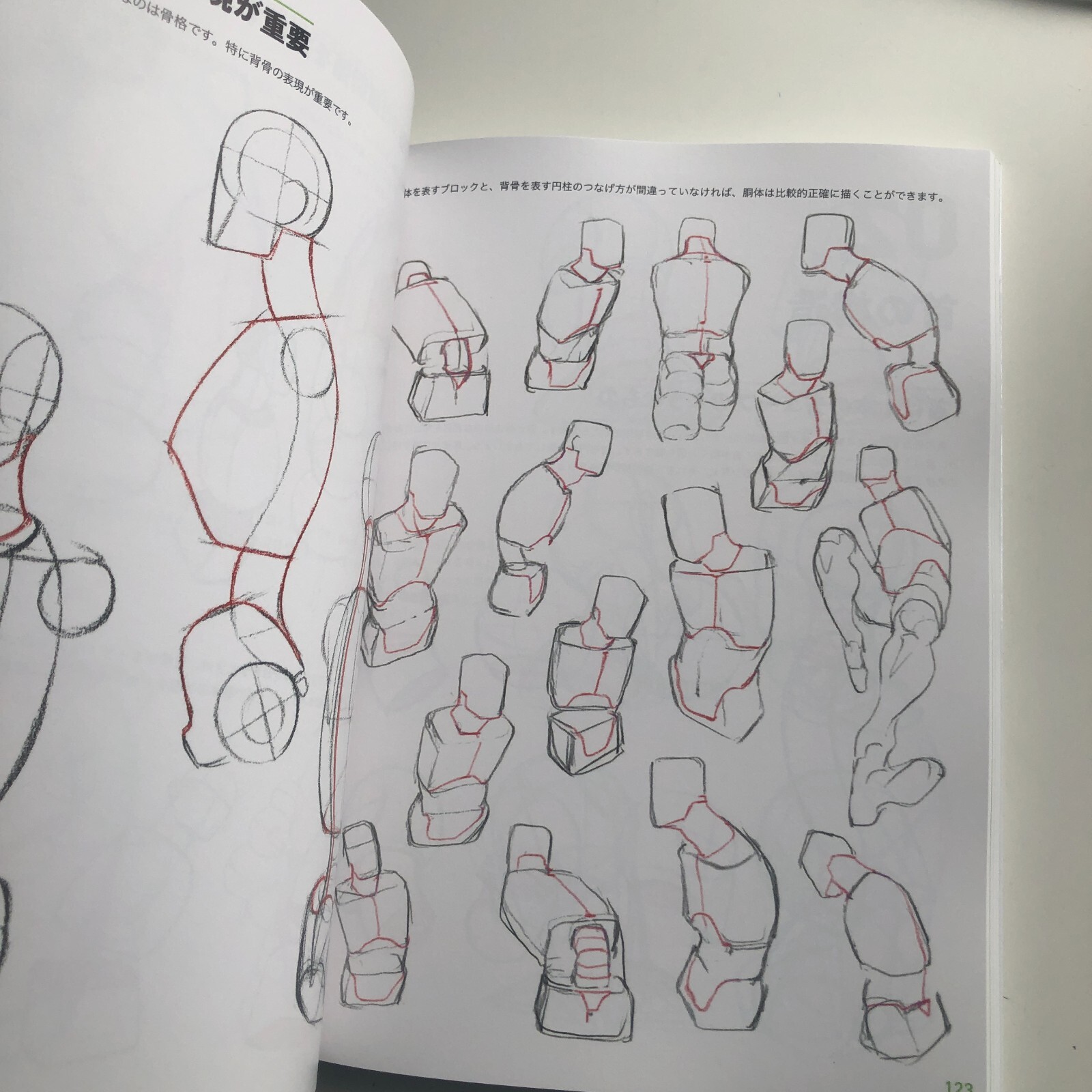 Master Guide to Drawing the Human Body: Character Drawing from the Basics Book
