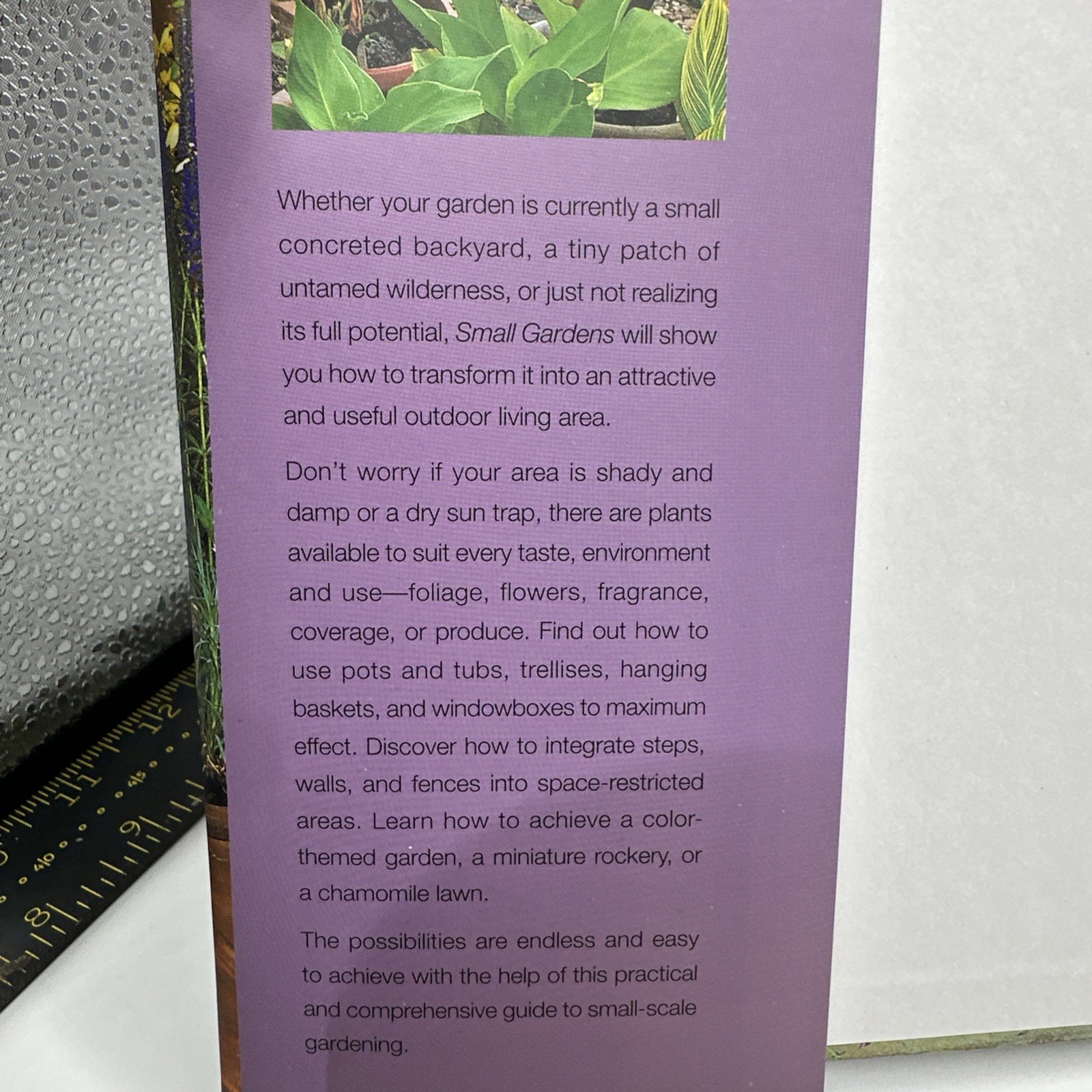 Small Gardens by David Squire (2004, Hardcover Dust Jacket)