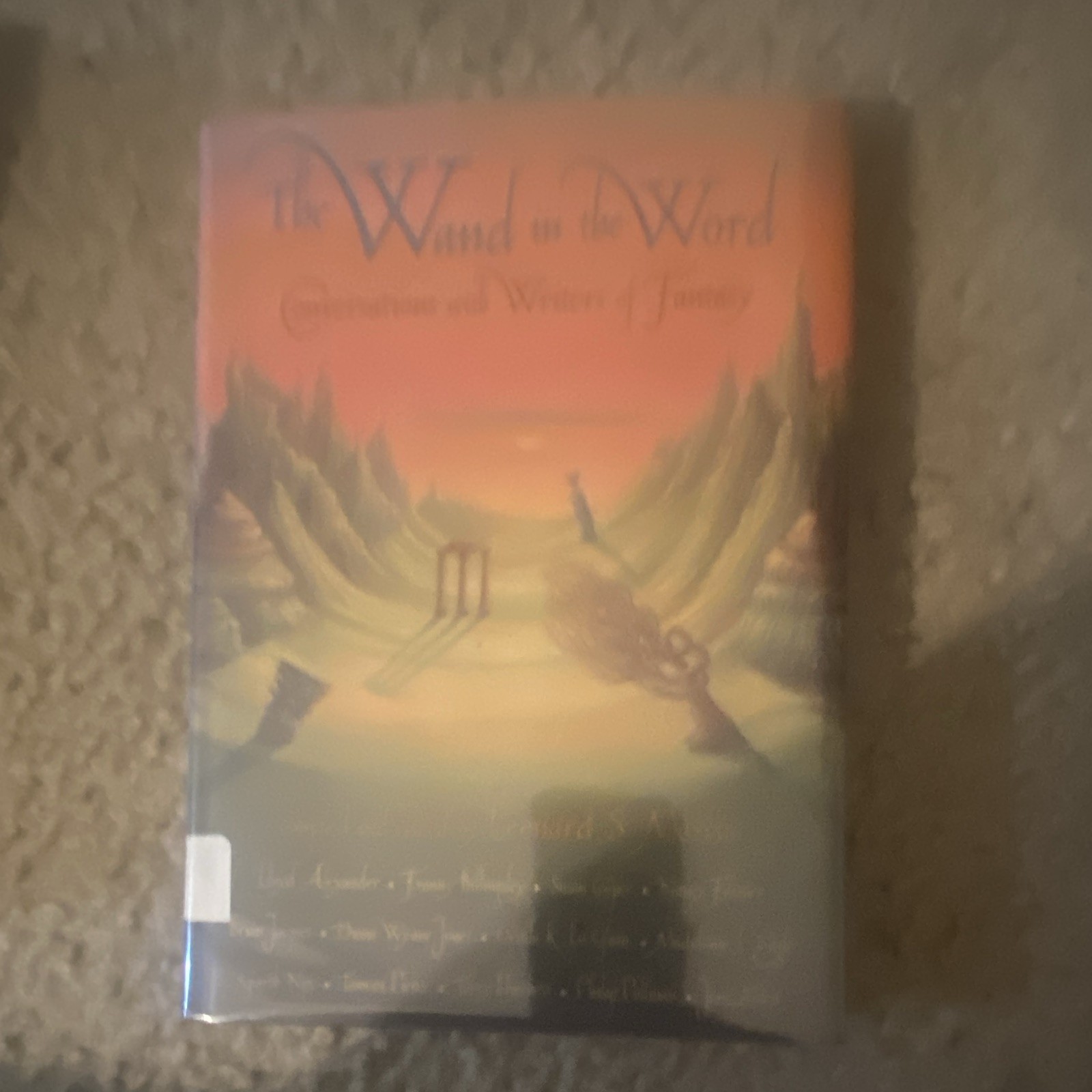 Marcus The Wand in the Word Hardcover English Fantasy Ex-Library Ex Libris