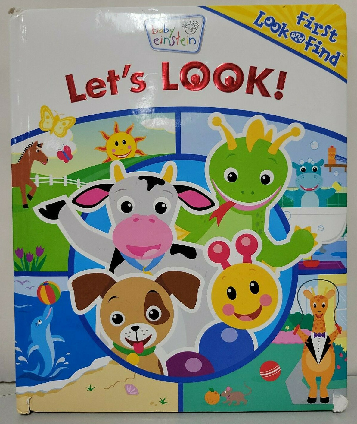 Lot of 9 Little First Look & Find Board Books Kids 12″ x 10″ x 0.75″