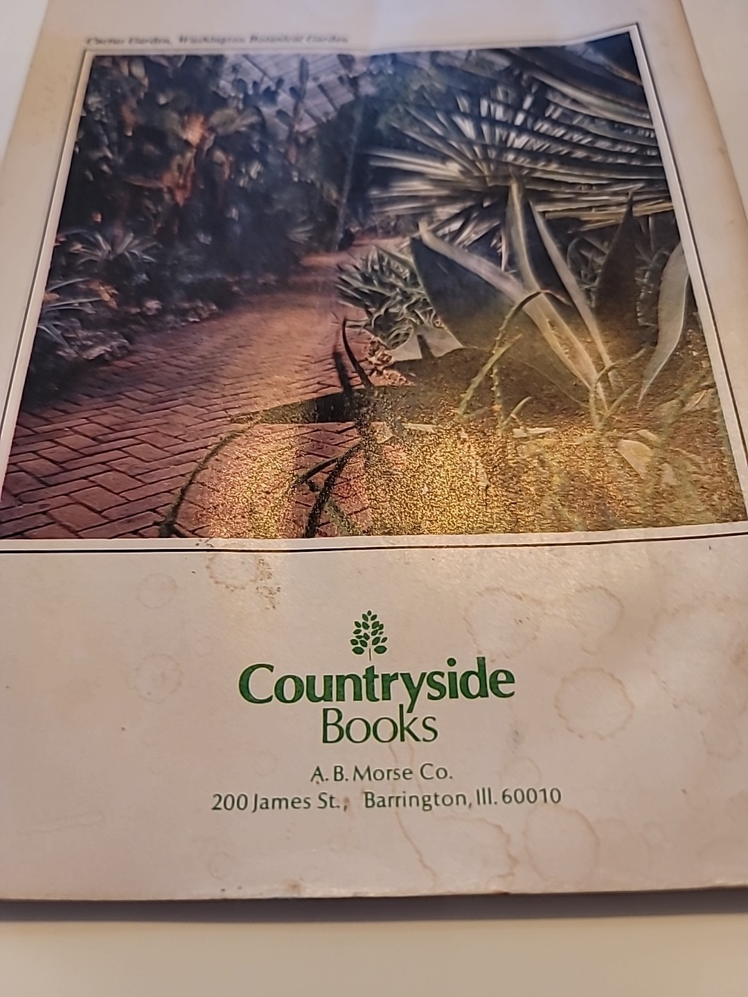 Cactus And Succulents Countryside Books 1976 Edition
