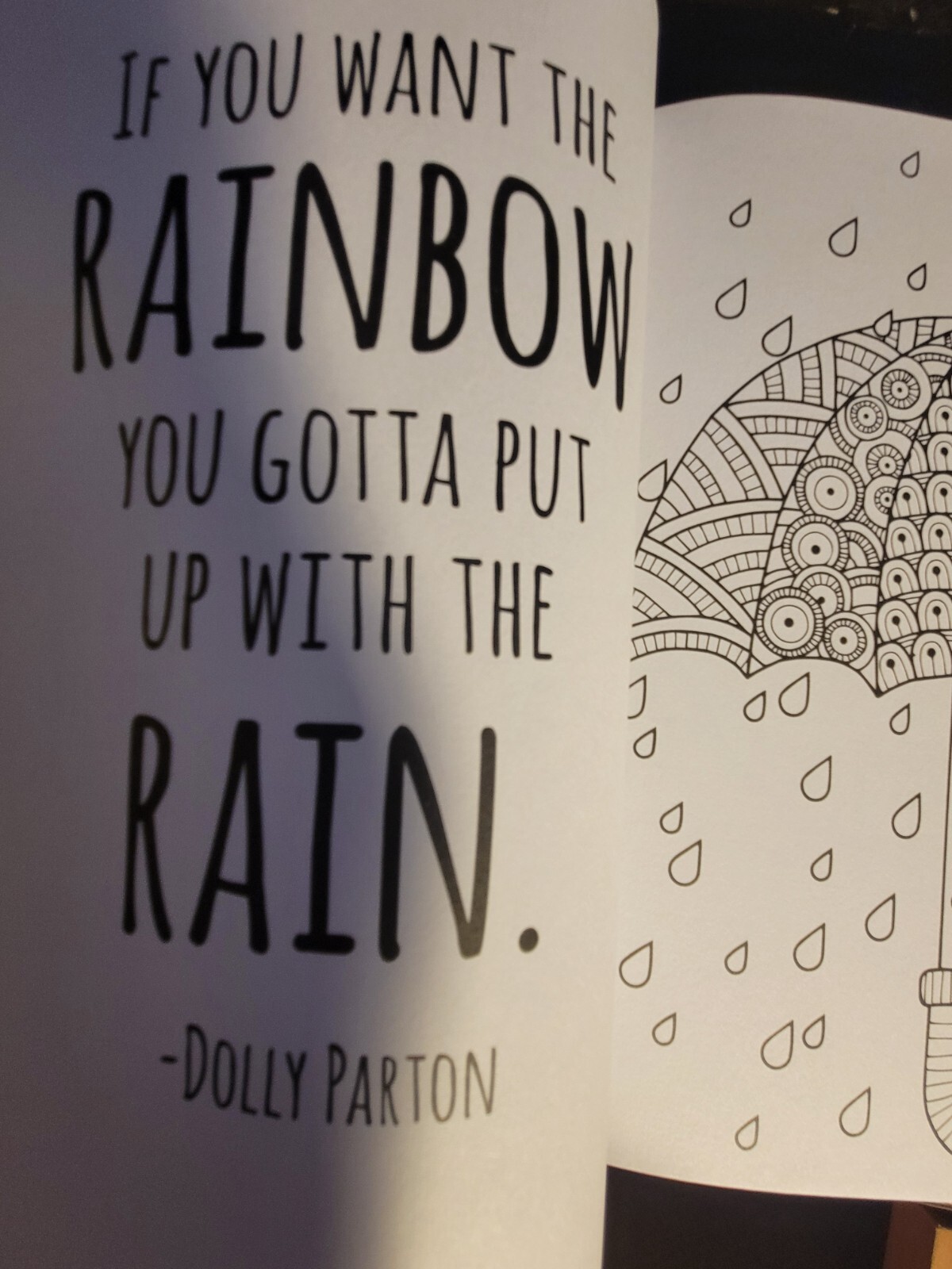 COLOR ME CALM JOURNAL Adult Coloring Book With 47 Prints Ready To Frame