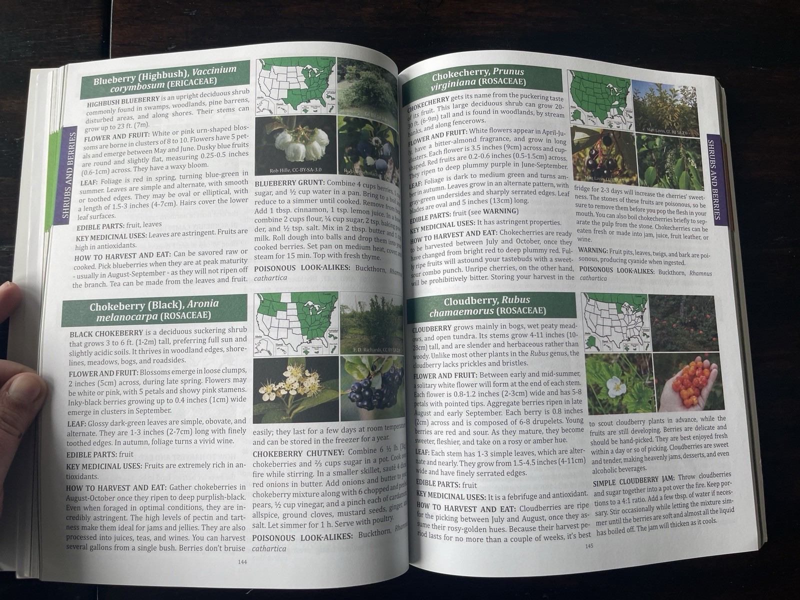 The Forager’s Guide to Wild Foods North American Edition by Nicole Apelian