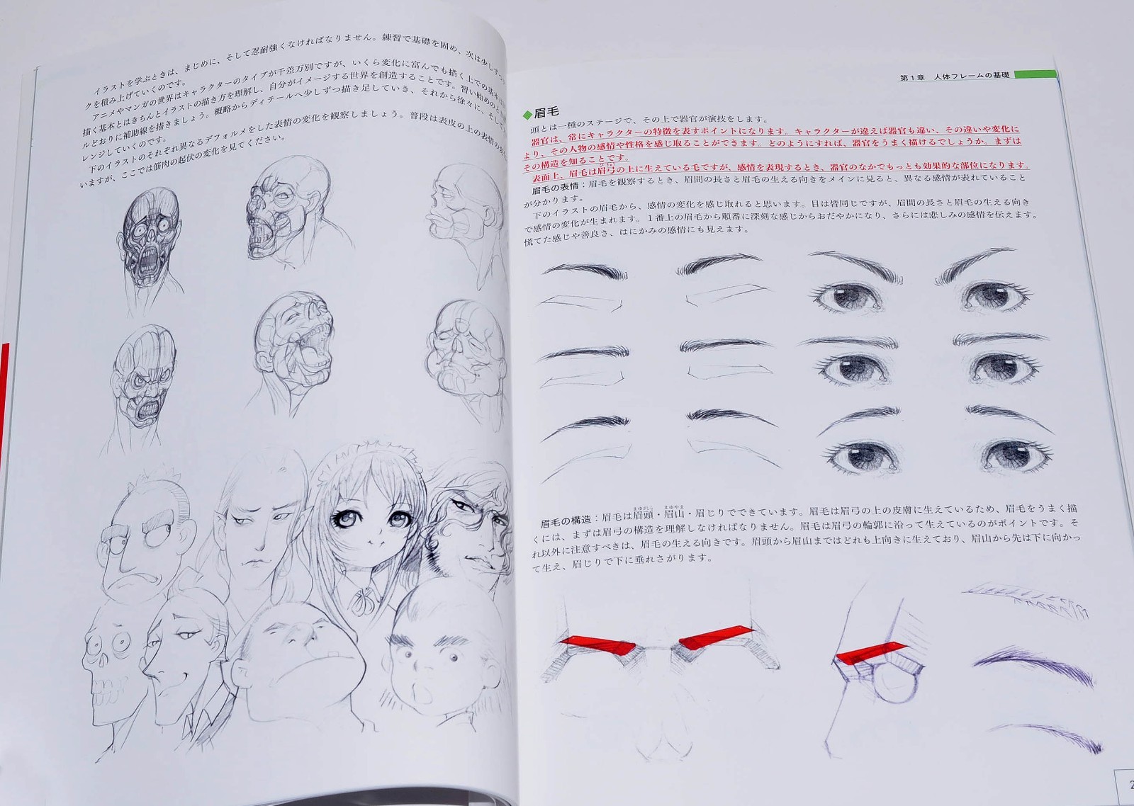 How to Draw Characters Guidebook : Human Body Drawing to Main Character Design