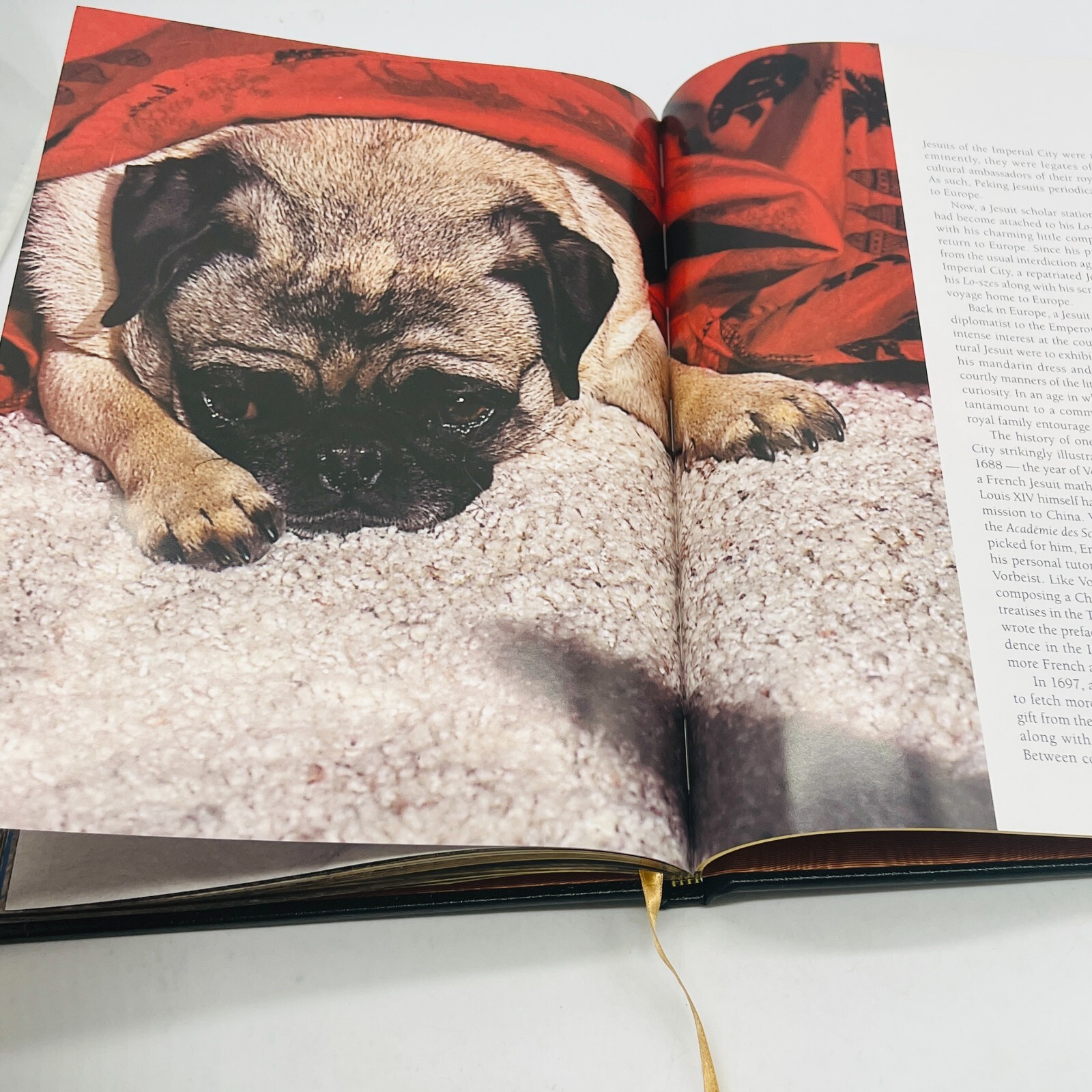 For The Love Of Pugs Book 1998 VTG Special Edition Robert Hutchinson EXC💥