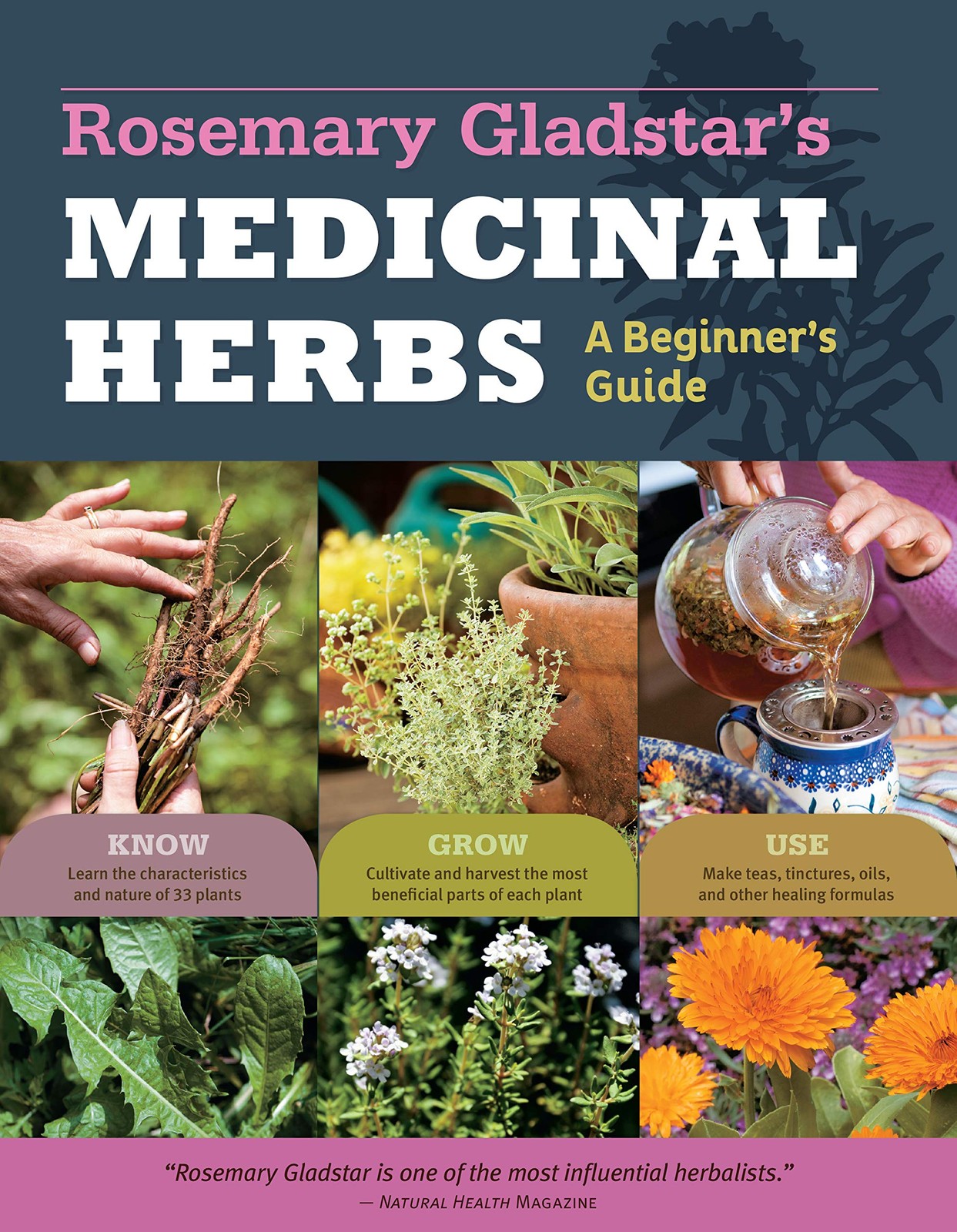 Rosemary Gladstar’s Medicinal Herbs: A Beginner’s Guide: 33 Healing Herbs to…