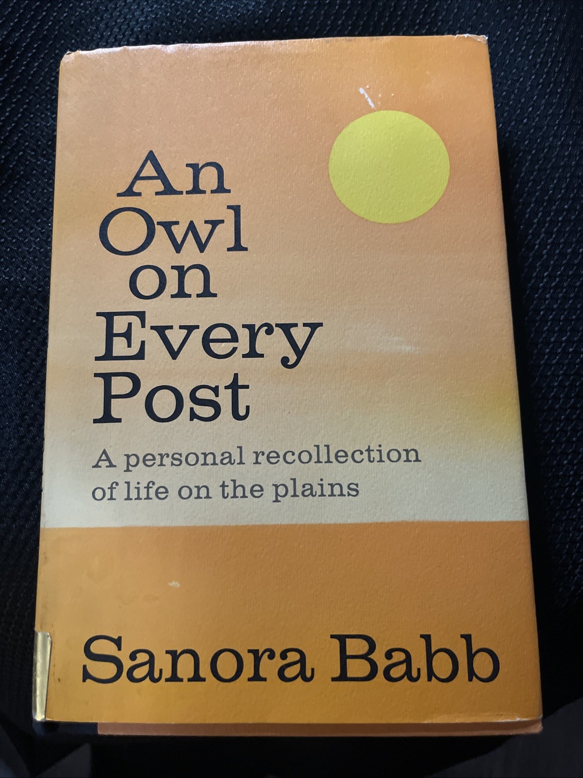 An Owl on Every Post By Sanora Babb RARE 1st Edition HC DJ 1970 Great Condition