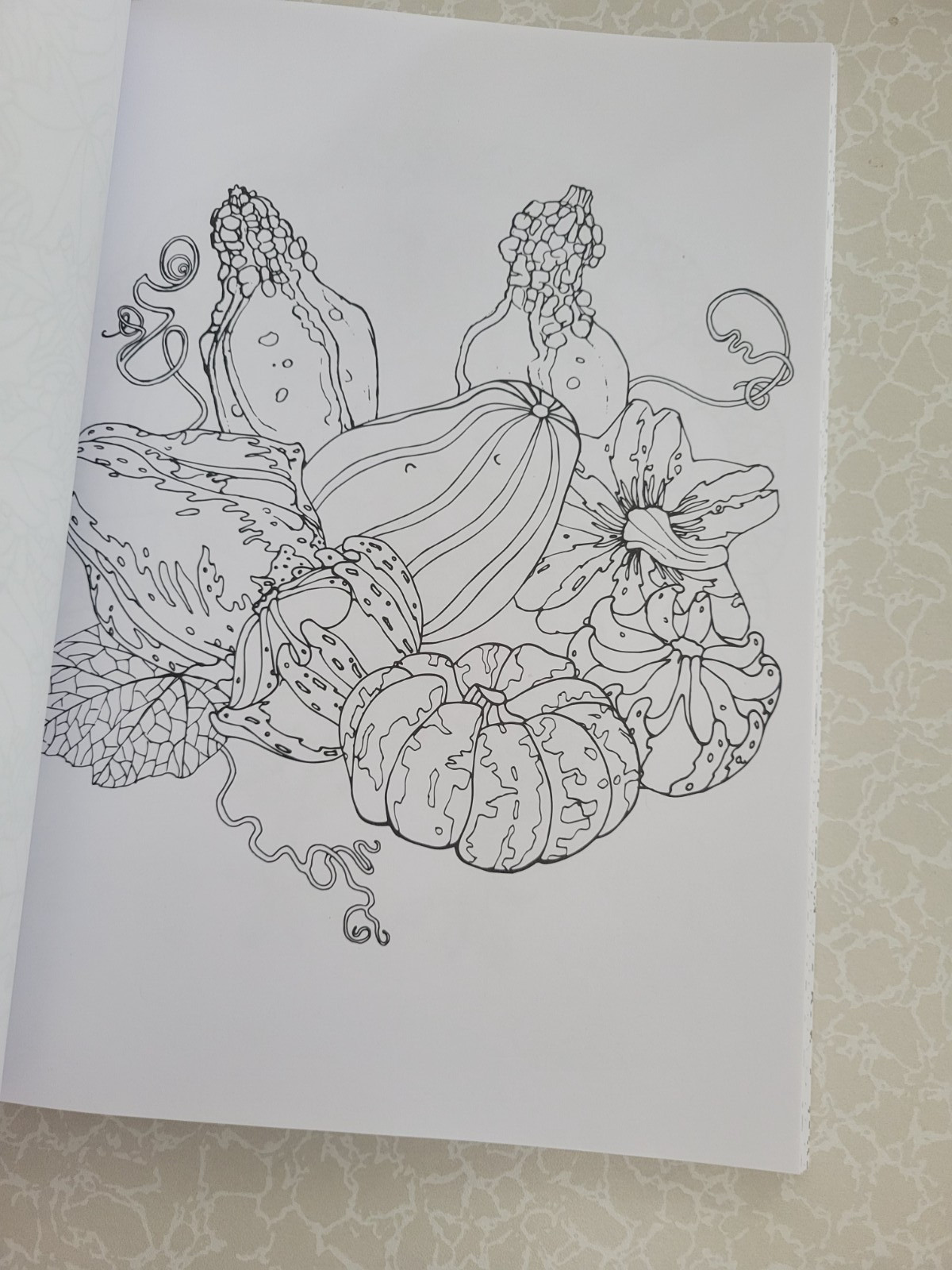 Harvest Home ADULT COLORING BOOK – Color Creatives -62 Designs Easing Stress Fun